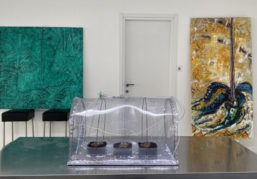 Ökologisch nachhaltige Kunstwerke