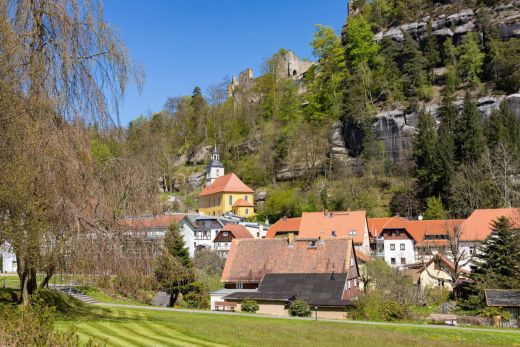 Blick zum Berg und der Burgruine